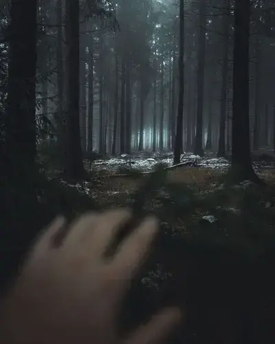 FunkyMan3302의 The Alphas