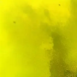 Profile image of 채우경