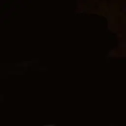 Profile image of 최범규