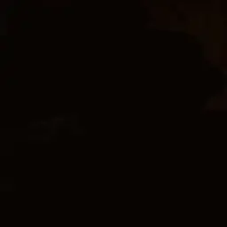 Profile image of 김민석