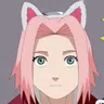 Profile image of Sakura Haruno