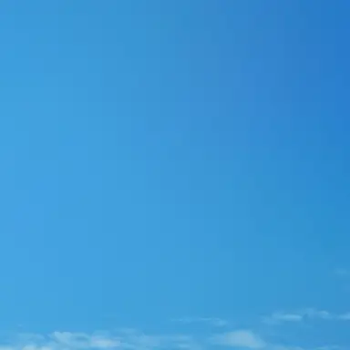 Profile image of 잠뜰