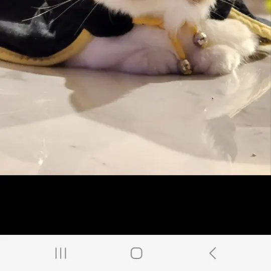 WickedHusky6249의 윤소라 이예은 장서희. 서지원 박세린