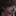 강유준