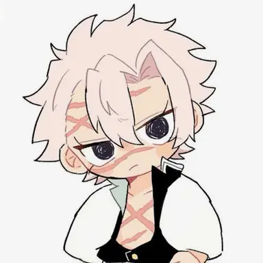 Profile image of 시나즈가와 사네미