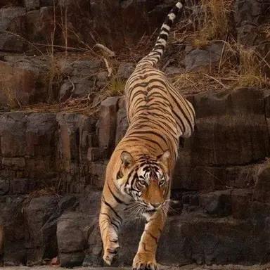 Profile image of 이호