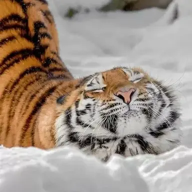 Profile image of 이서