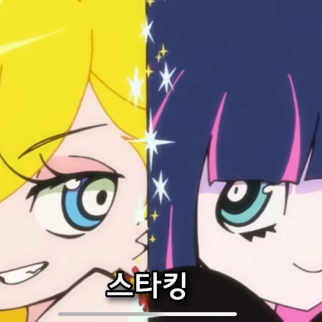 가터벨트