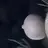 똥쟁이