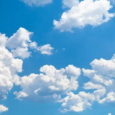 Profile image of 신해인