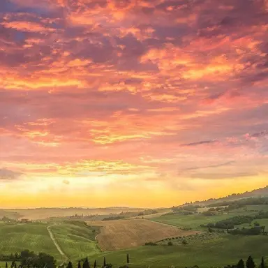 Profile image of 김수혁