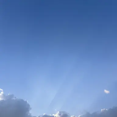 Profile image of 존버트