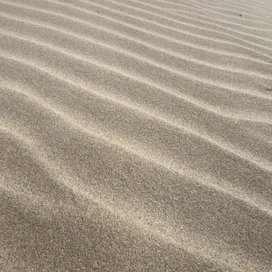 Profile image of 엄마