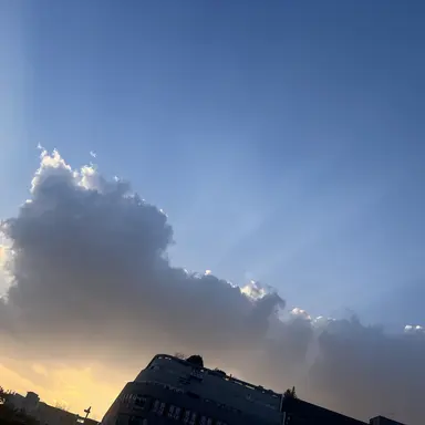 Profile image of 케이시