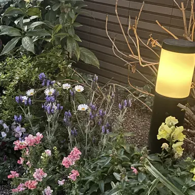 Profile image of ロシア