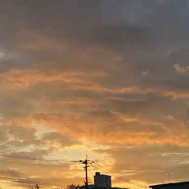 Profile image of イギリス