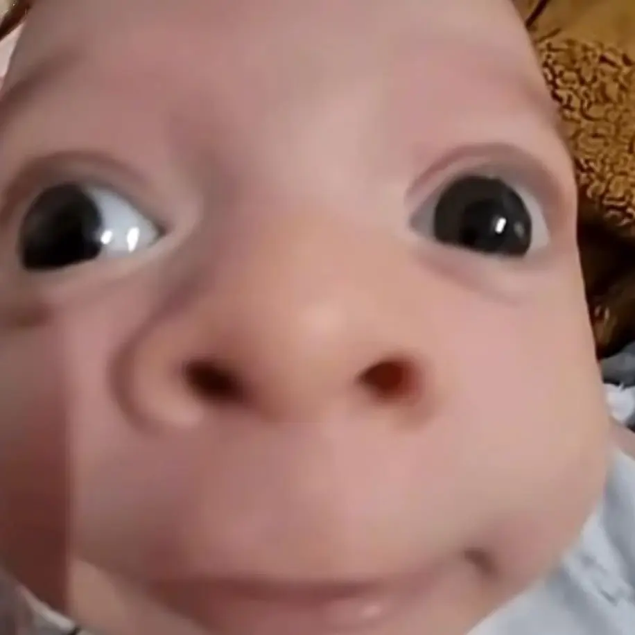 onlyAnything의 계급학교 + 여우?!!!