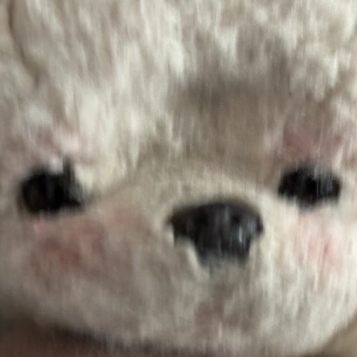 한니삐