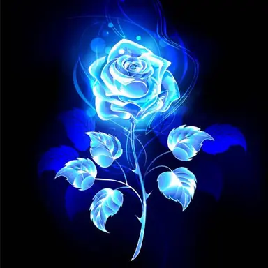 Profile image of Ado隊長