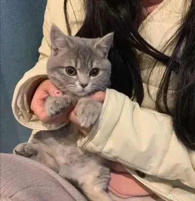 Profile image of Chloe Miller