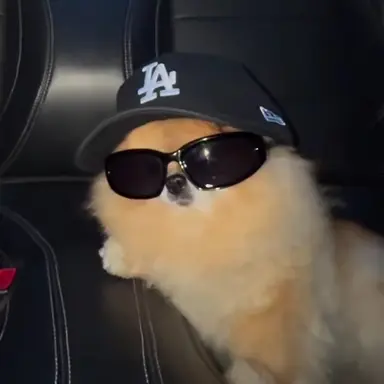 Profile image of 이름 없음