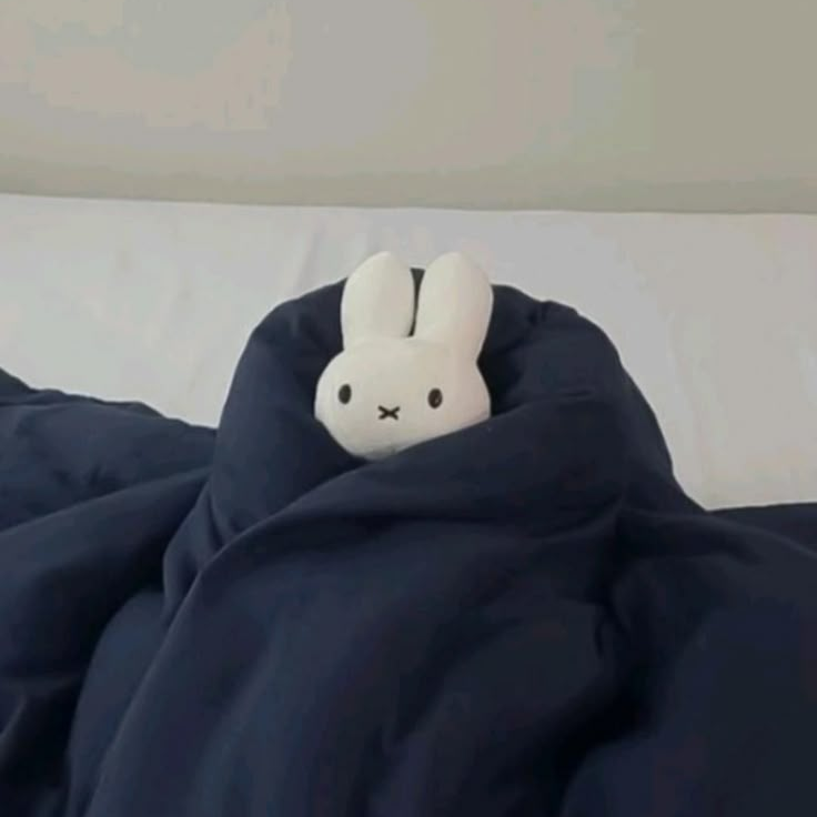 박덕개 대표 이미지