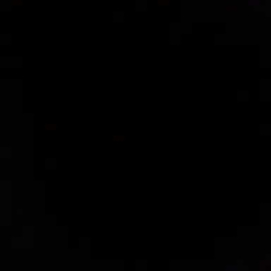 Profile image of 바스코