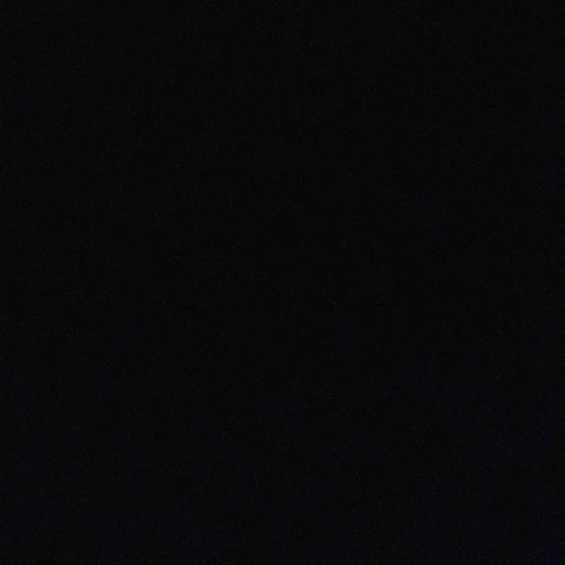 박지성