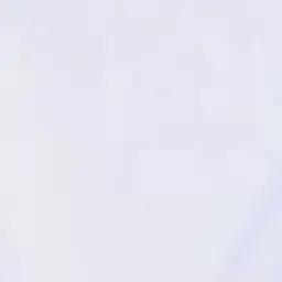 OpaqueHooks1301의 -