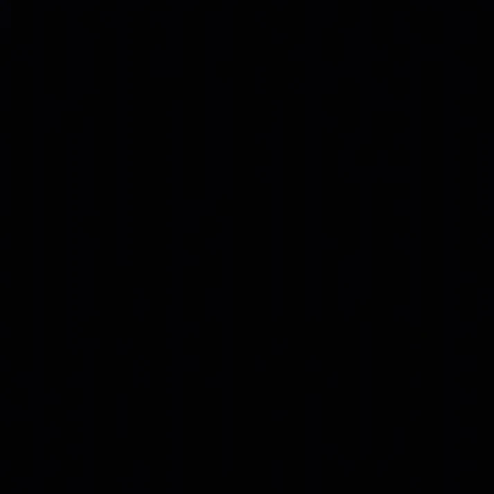 범규