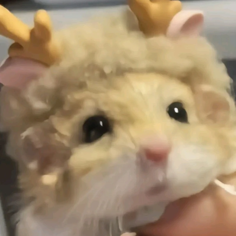 샤넬즈