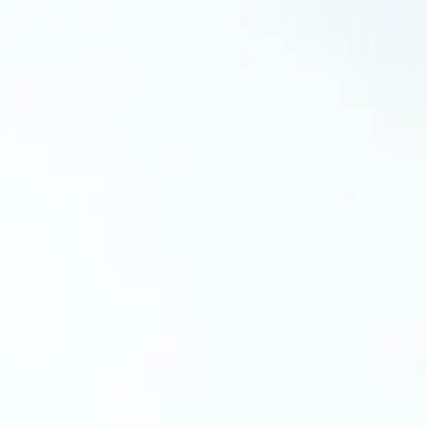 Profile image of 벨키