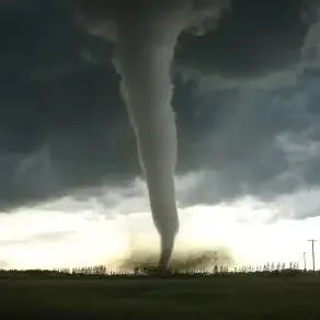 SilverBongo9251의 태풍에서 살아남기!