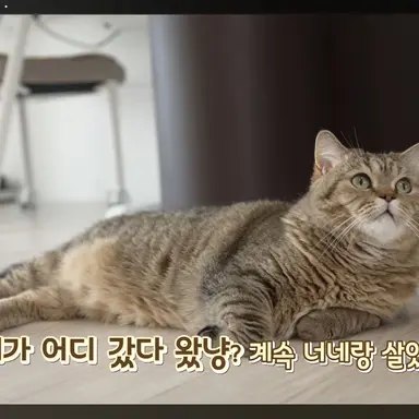 Profile image of 아브라함