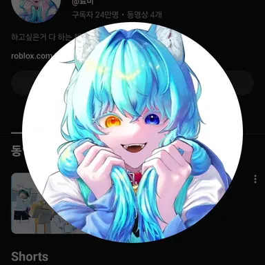 Profile image of 료미
