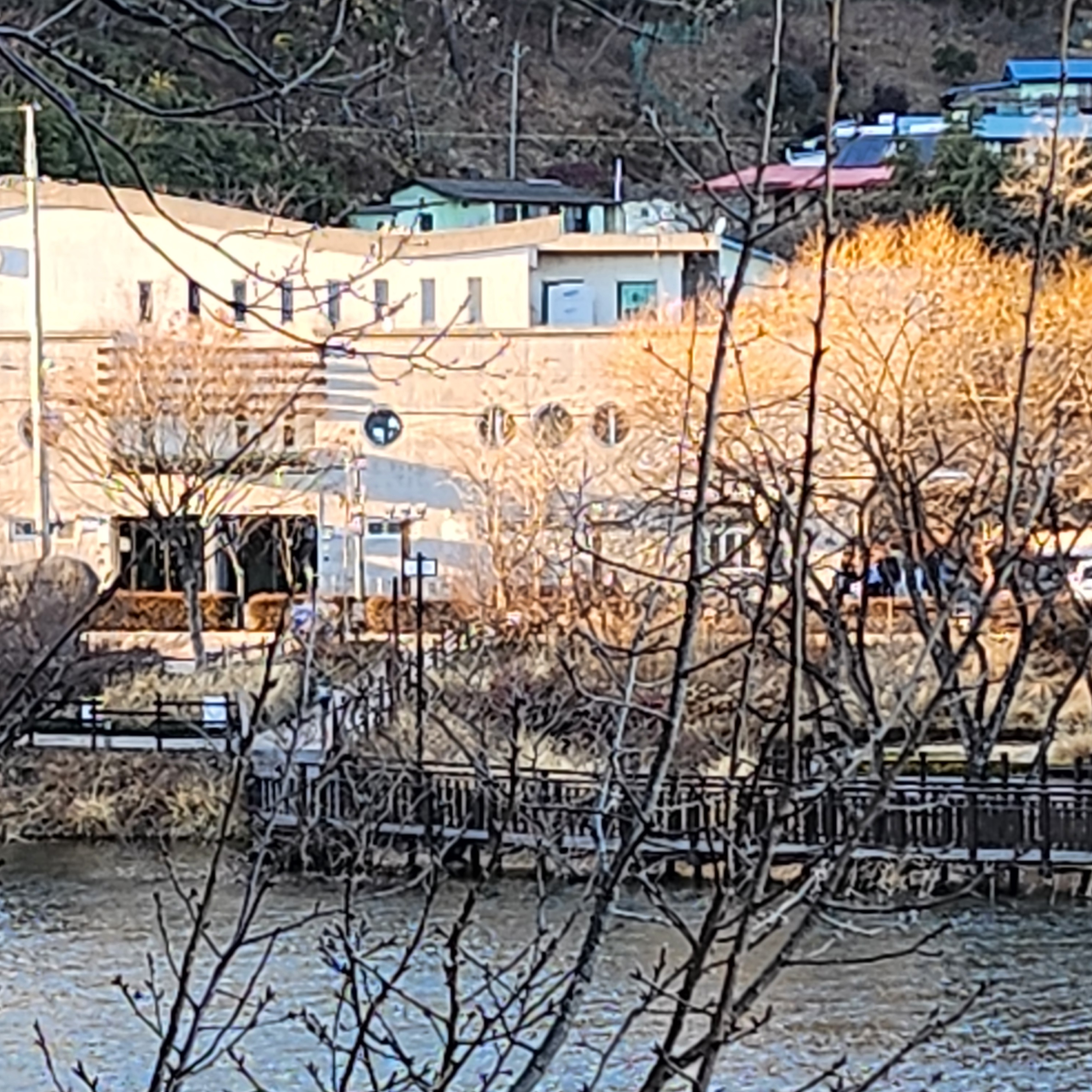 양아치 고고프렌즈 대표 이미지