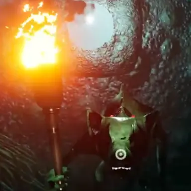 Profile image of 바르자