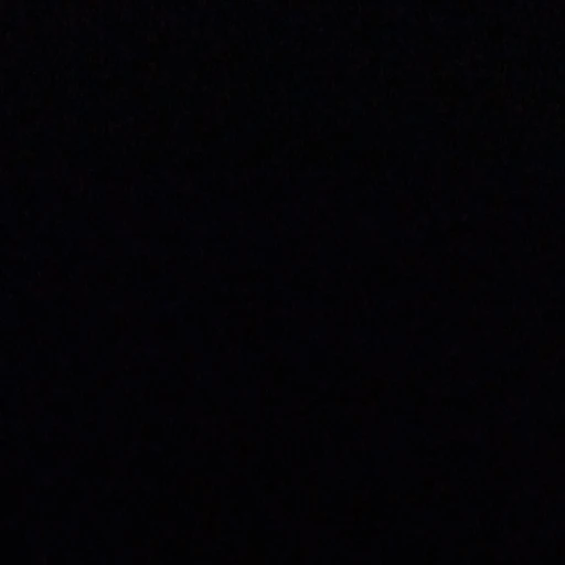 전정국