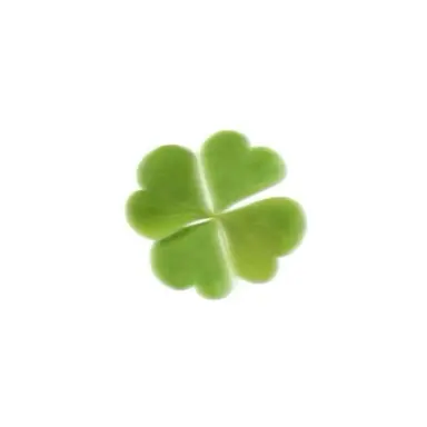 Profile image of ソヌ