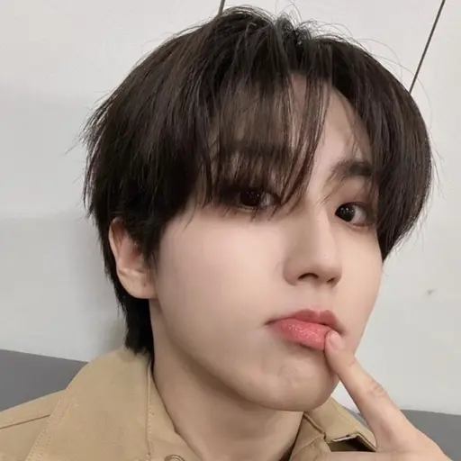 realstraykids의 한지성