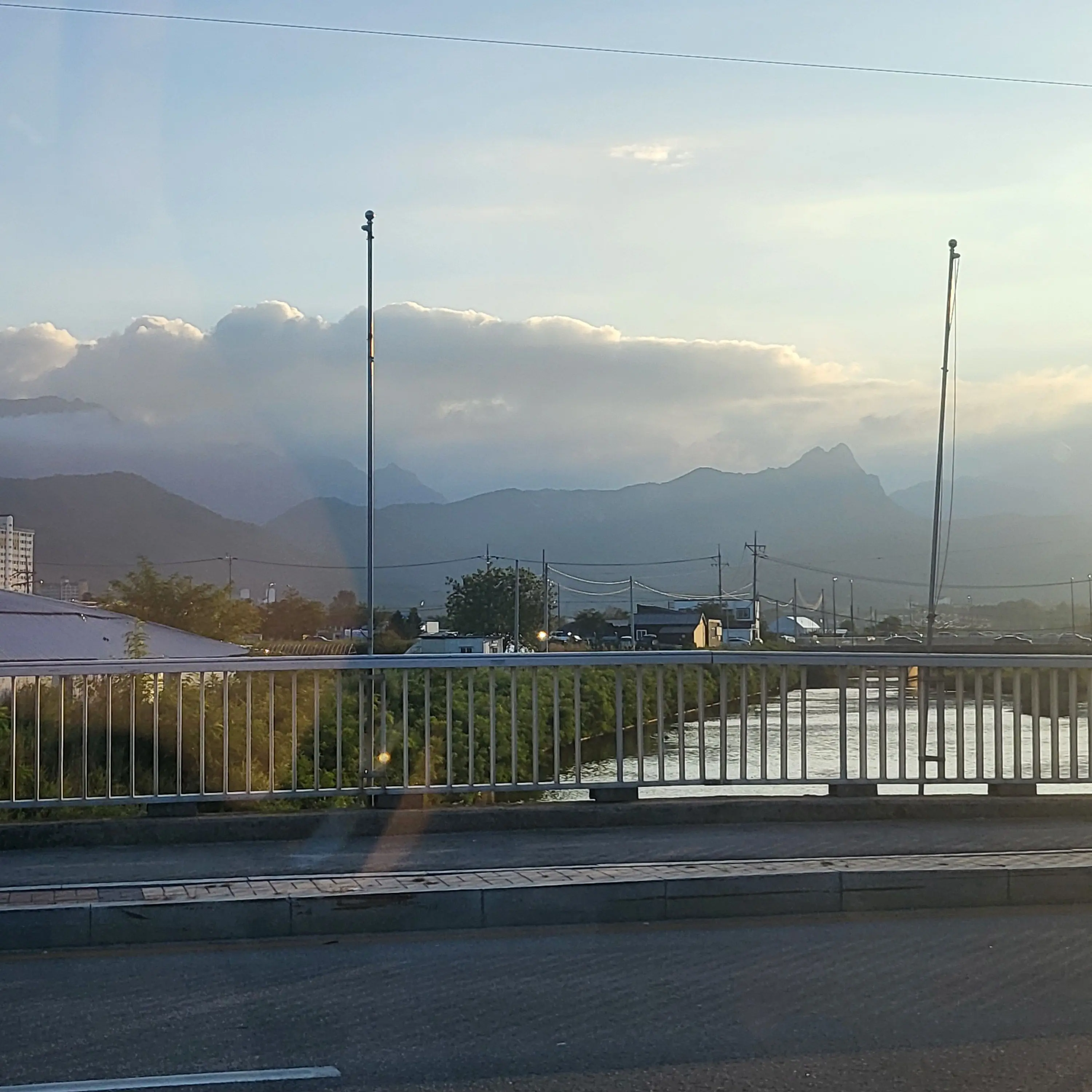 BitterOlive2317의 세봉고