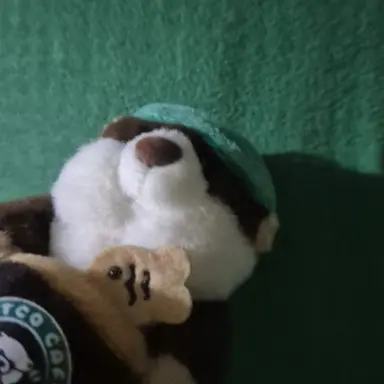 Profile image of 코코