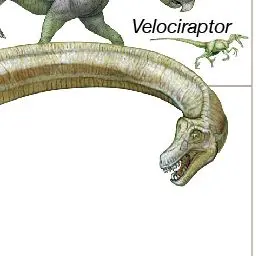 Profile image of 브라키오사우루스