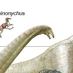 Profile image of 아파토사우루스