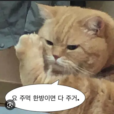 Profile image of 퇴물2 고양이