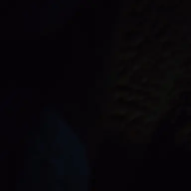 Profile image of Shadow
