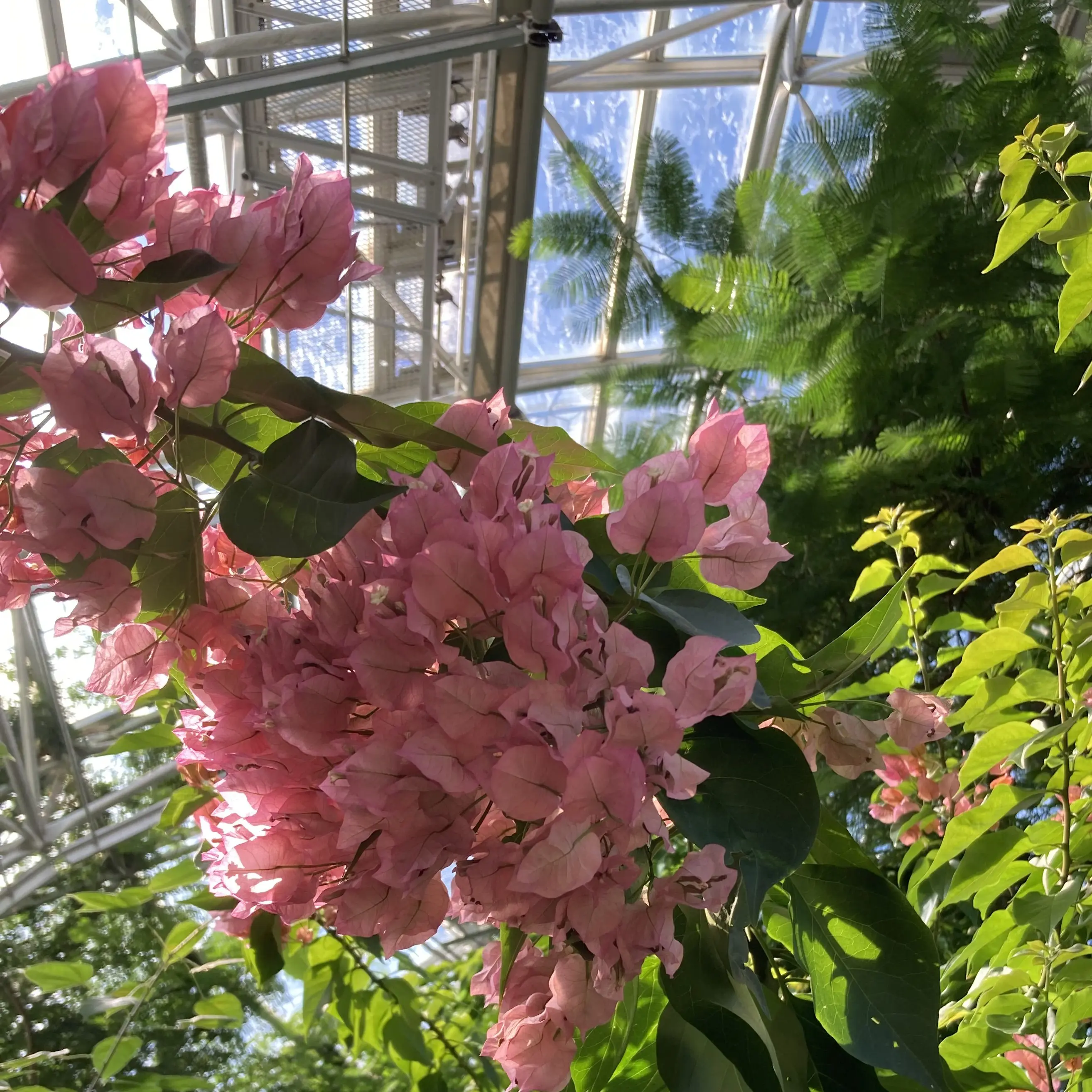 Takasi-123의 隣の家のあの子