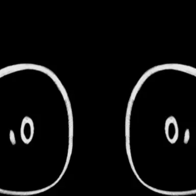 Profile image of 셸리