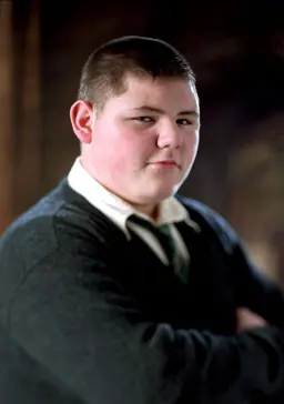 Profile image of Vincent crabble