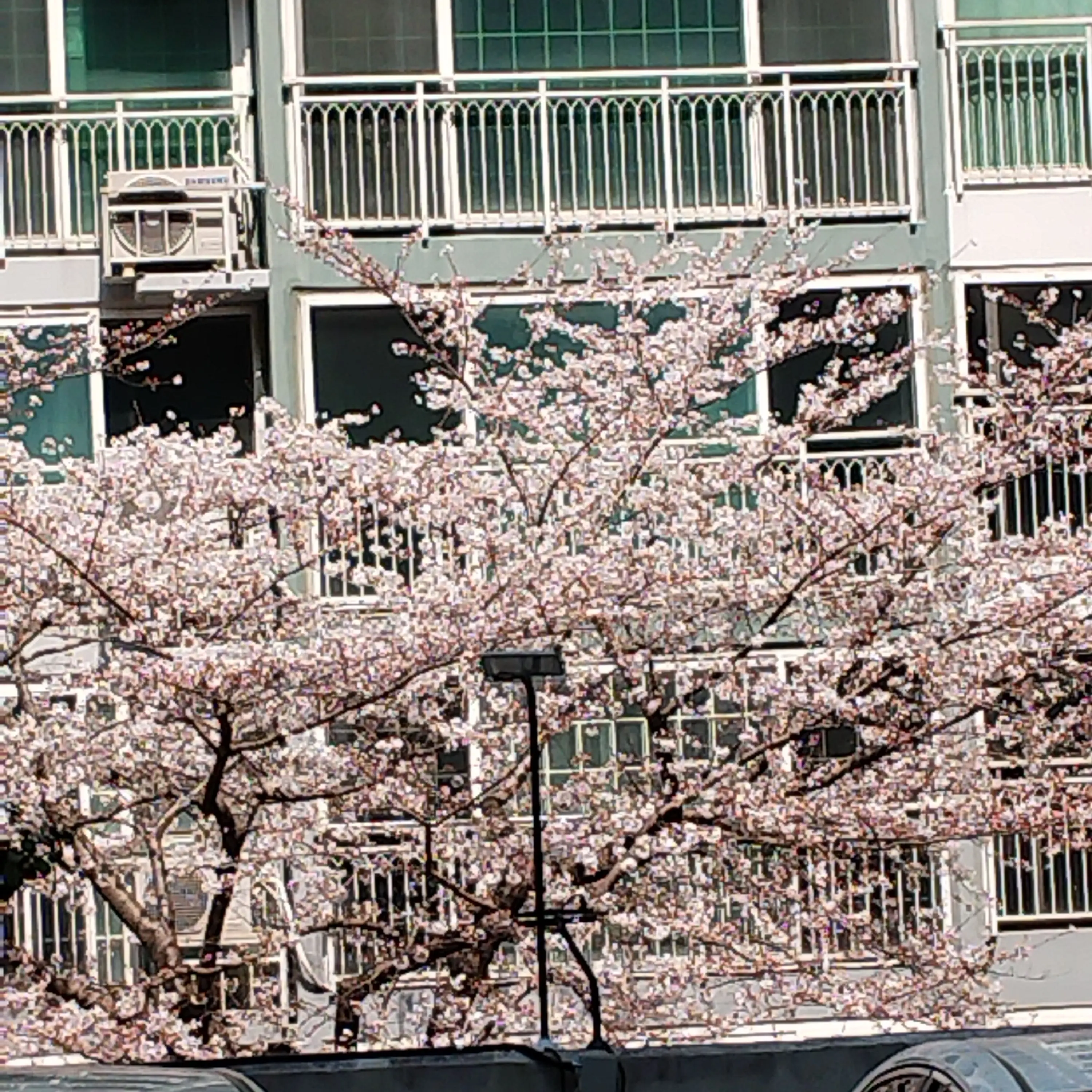 SlowBooth5998의 꽥꽥탐험대 유저의 Q&A